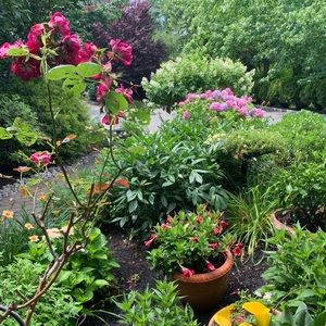 Meet your Posher, Fernanda